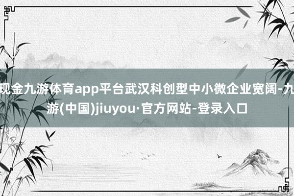 现金九游体育app平台武汉科创型中小微企业宽阔-九游(中国)jiuyou·官方网站-登录入口